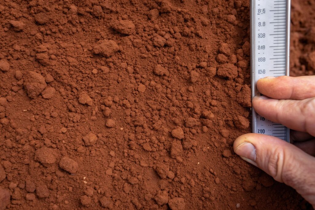 Reactive clay soil sample from Maitland pool construction site